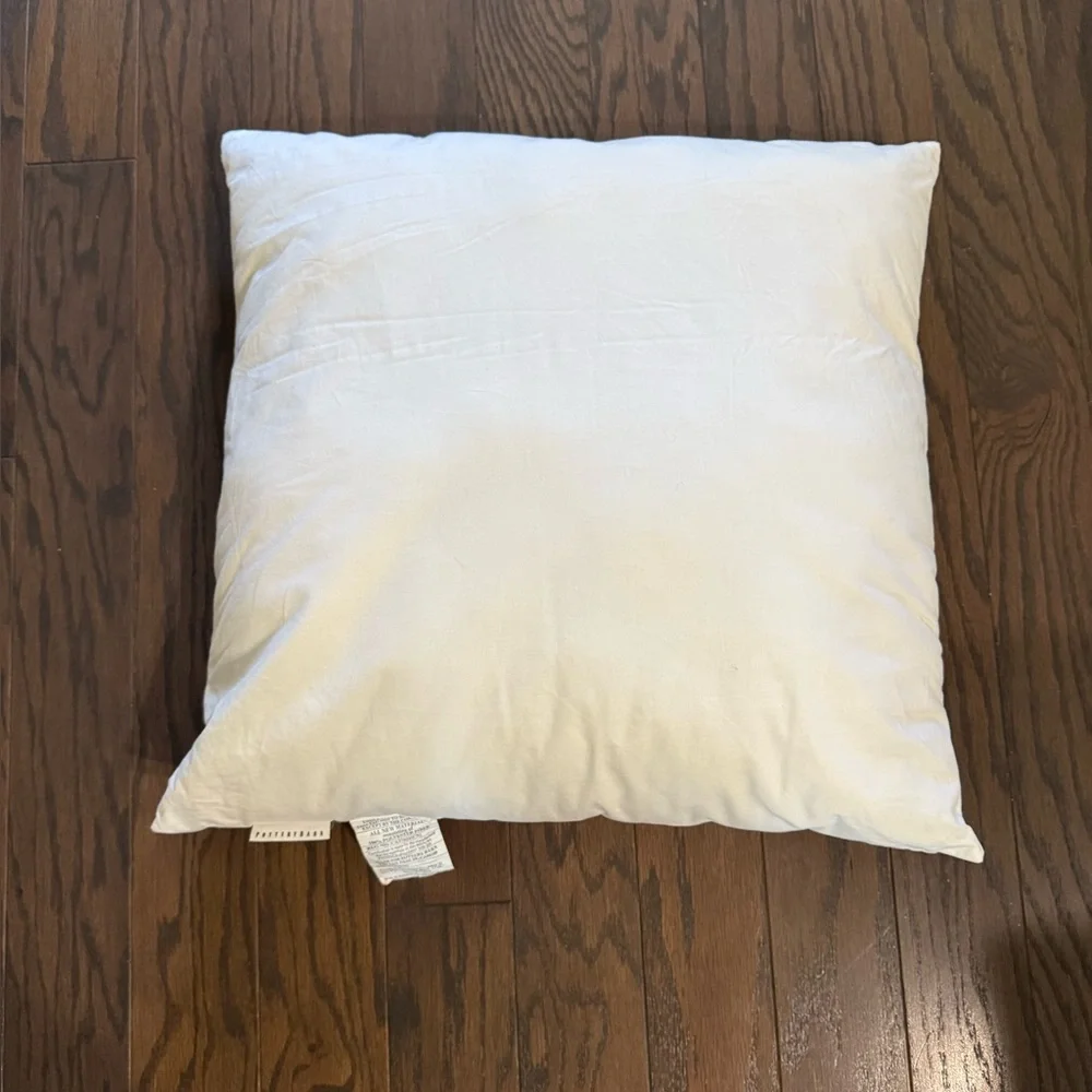 Pottery Barn 2 Pillow Inserts Size 20x20